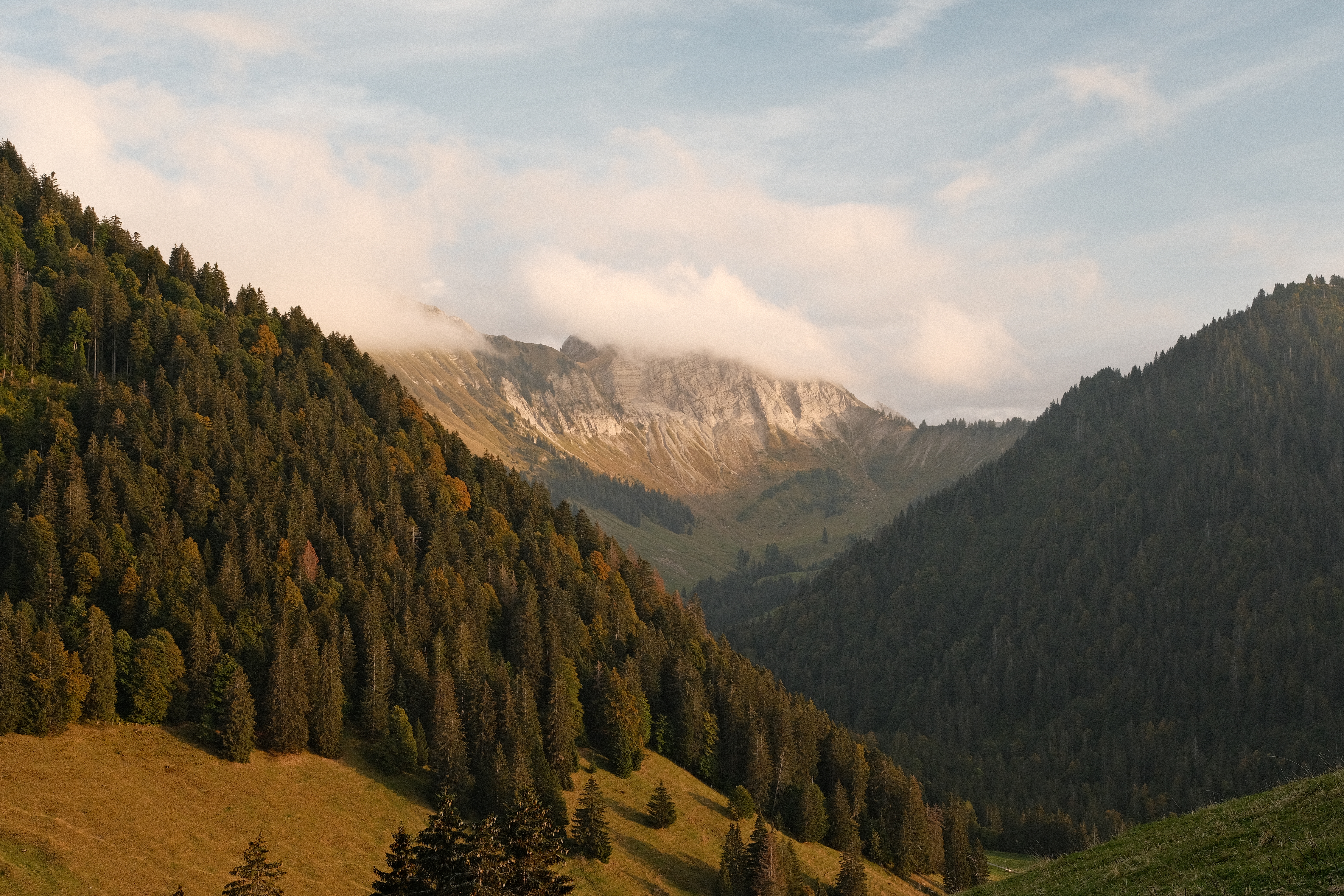 Paysage